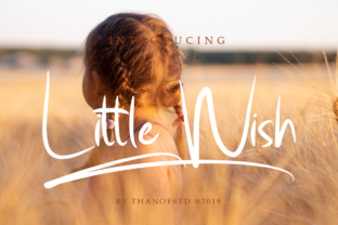 Little Wish: A Clean Display Font for Editors