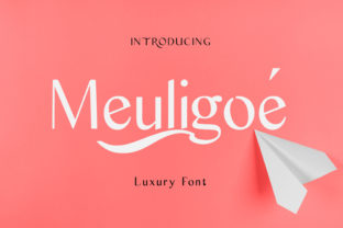 Meuligoe: The Sweet Display Font for Bold Branding