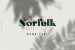 Norfolk Duo: A Refined Display Typeface for Modern Editors