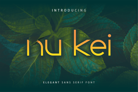 Nu Kei: A Futuristic Display Font for Modern Editors