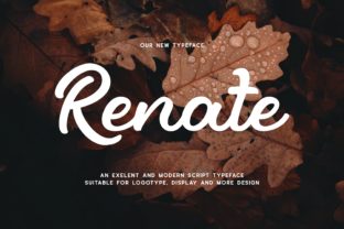 Renate Display Font: Bold Type for Campaigns